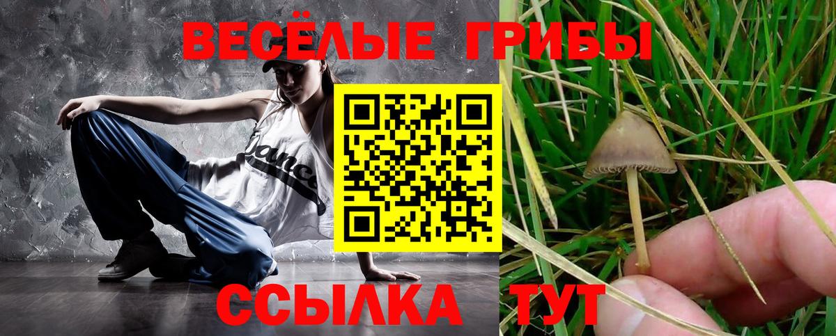 Псилоцибиновые грибы ЛСД Ижевск