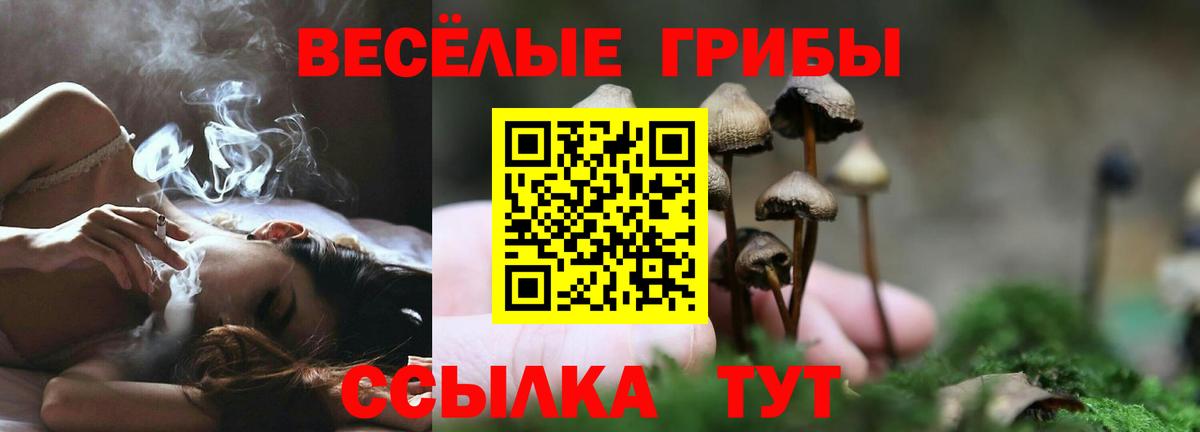 цены наркотик  Псилоцибиновые грибы мицелий  Вход с VPN  Галлюциногенные грибы Psilocybe  Ижевск 